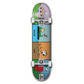 Element Skateboard Peanuts Wind Wate