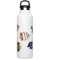 fish-tank-bottiglia-di-pesce-di-barriera-corallina-600ml