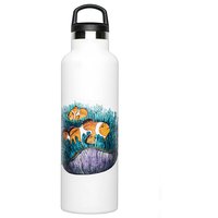 fish-tank-clownfish-bottle-600ml