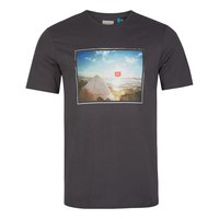 oneill-surfers-view-t-shirt-met-korte-mouwen