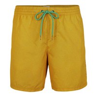 oneill-world-tribal-swimming-shorts