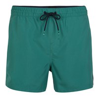oneill-cali-panel-swimming-shorts