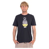 hurley-t-shirt-a-manches-courtes-everyday-washed-pinehappy