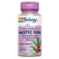 Solaray Mastic Gum 500mgr 45 Units