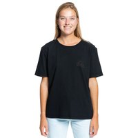 quiksilver-kortarmad-t-shirt-standard