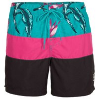 oneill-frame-block-swimming-shorts