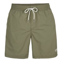 oneill-shorts-de-natacao-n03200-vert-swim-16