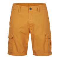 oneill-pantalons-curts-carrec-n2700000-beach-break