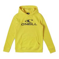 oneill-n4750004-n4750004-boy-hoodie