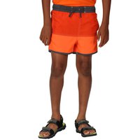regatta-sergio-swimming-shorts