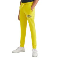 oneill-jogger-surf-state