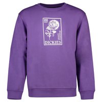 dickies-garden-plain-sweatshirt