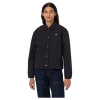 dickies-jaqueta-oakport-cropped-coach