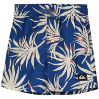 quiksilver-mix-vly-12-badehose