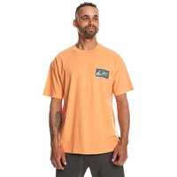 quiksilver-kortarmad-t-shirt-spin-cycles