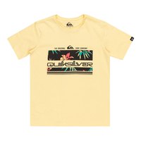 quiksilver-kortarmad-t-shirt-tropical-rain