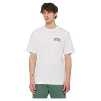 dickies-t-shirt-a-manches-courtes-aitkin-chest