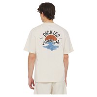dickies-t-shirt-a-manches-courtes-beach