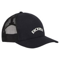dickies-shawsville-trucker-cap