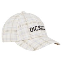 dickies-surry-cap