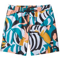 quiksilver-every-mix-16-swimming-shorts