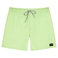 rip-curl-daily-volley-swimming-shorts