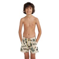 oneill-mix-match-cali-print-13-swimming-shorts