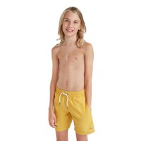 oneill-vert-14-swimming-shorts