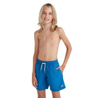 oneill-vert-14-swimming-shorts