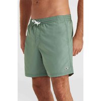 oneill-vert-16-swimming-shorts