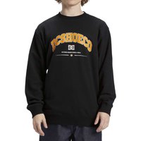 dc-shoes-orientation-pullover