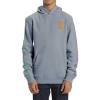 dc-shoes-sweat-a-capuche-sportster-ph