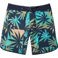 quiksilver-high-lines-call-swimming-shorts