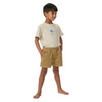 rip-curl-shorts-for-smabarn-surf-cord-volley