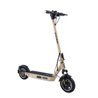 zwheel-pz0010-10-400w-elektrische-scooter