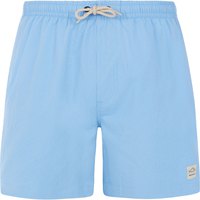 protest-wyton-swimming-shorts