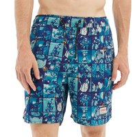 hydroponic-17-na-frame-swimming-shorts