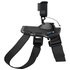 GoPro Fetch Dog Harness Support