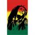 STT Sport CrazyTowel Bob Marley Terry Loop Towel
