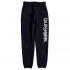 Quiksilver Trackpant Screen Youth