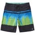 Reef Channel Swimming Shorts