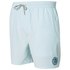 Rip curl Rays & Waves Volley Badehose