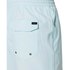 Rip curl Rays & Waves Volley Badehose