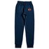 Quiksilver Tassie Gully Pant Youth