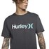 Hurley T-Shirt Manche Courte PRM One&Only Gradient 2.0