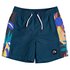 Quiksilver Arch Print Volley Jugend 15´´ Badehose