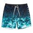 Quiksilver Everyday Rager 18´´ Swimming Shorts