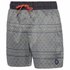 Protest Holt Swimming Shorts
