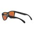 Oakley Frogskins Prizm Sonnenbrille