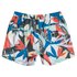 Quiksilver Mystic Session STR Volley 15´´ Badehose